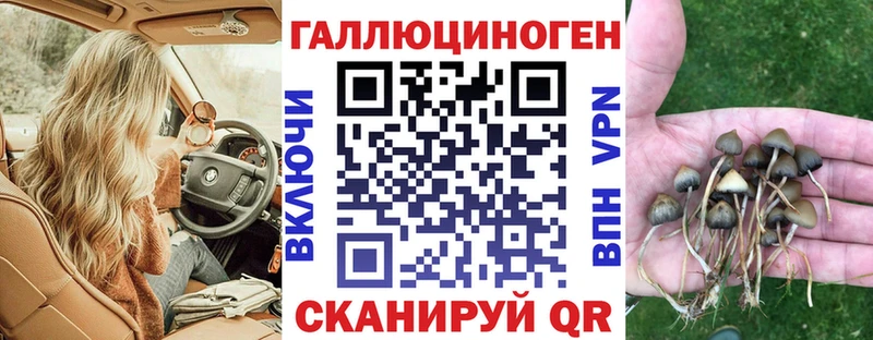 Купить  Семёнов  Галлюциногенные грибы Psilocybe 
